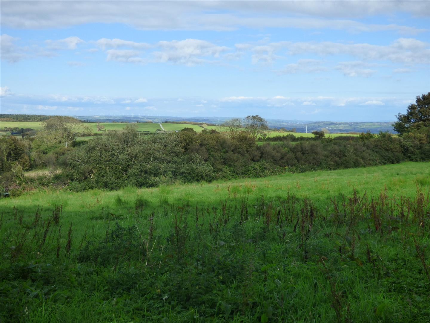 THE LAND